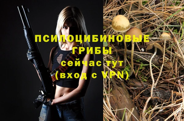 a pvp Зерноград
